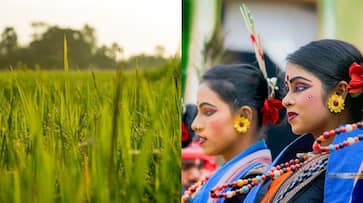 Nuakhai: Odisha celebrated new crop festival on Friday