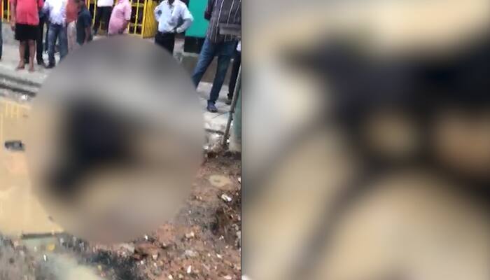 Heavy rains: Cow dies of short circuit from transformer in Bengaluru Video