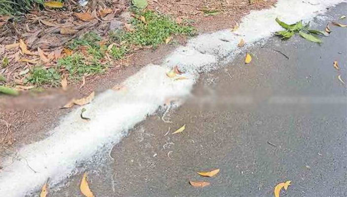 mysterious milk rain in kollam