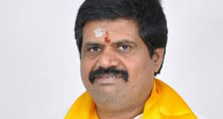 Avanthi Srinivas rao sensational comments on Chandrabadu and TDP - bsb