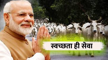 news reports suggest cow deaths due to PM Modi event is baseless