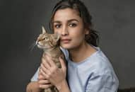 Alia Bhatt Daan Utsav Mi Wardrobe is Su Wardrobe