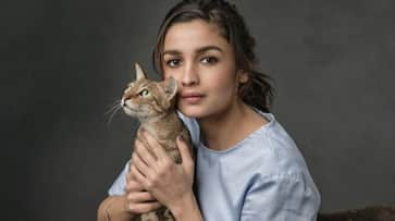 Alia Bhatt Daan Utsav Mi Wardrobe is Su Wardrobe