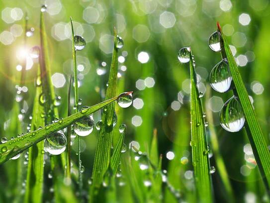 Rain in last September will be good for farmers