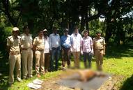 Karnataka forest  Hunters kill deer officials Video Karwara taluk Uttara Kannada district