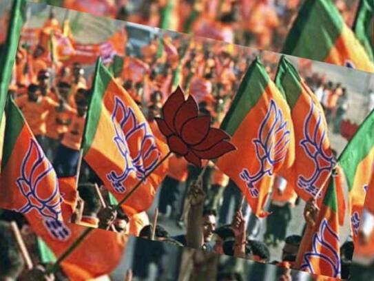 BJP wins 5 local body seats in Kashmir