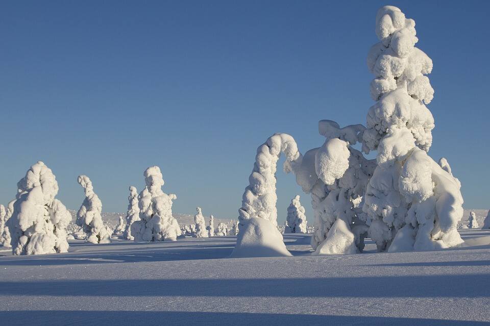 Travel Story Of Vineeth Sreenivan though Finland