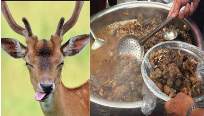 2 Deer Poacher arrested in tarikere Chikkamagaluru