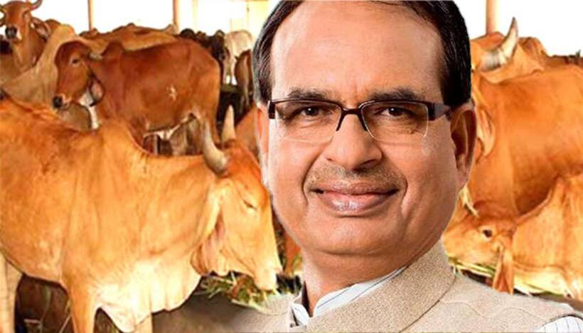 गोरक्षा के लिए शिवराज ने लिया यह बड़ा फैसला