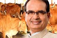 gau mantri built for protection of Gau Dynasty in Madhya Pradesh