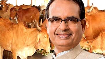 gau mantri built for protection of Gau Dynasty in Madhya Pradesh