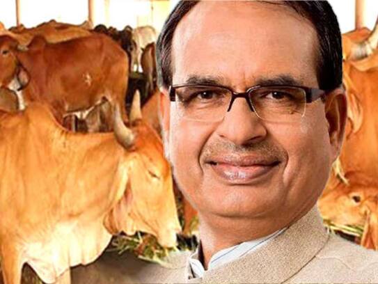 gau mantri built for protection of Gau Dynasty in Madhya Pradesh