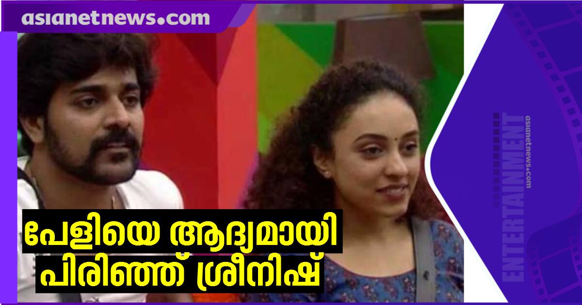 sreenish aravind talks about his plan to marry pearley maaney