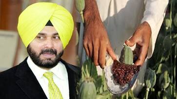 Siddhu is in favour to legalise opium sale