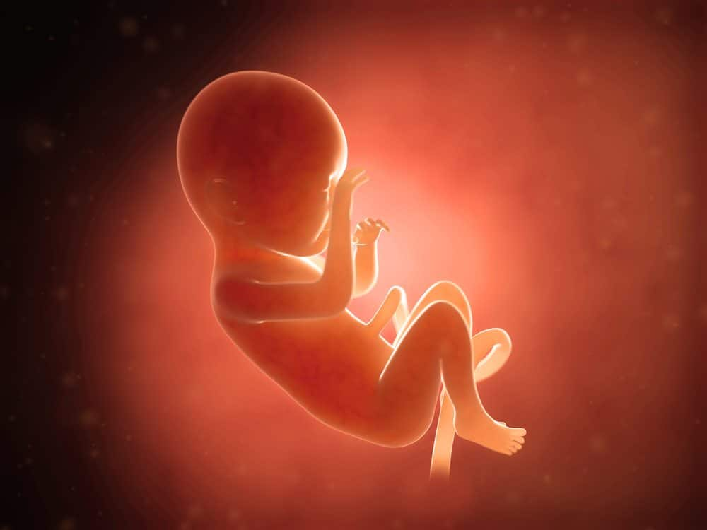 Abortion of girl 28-week fetus allowed... Chennai High Court