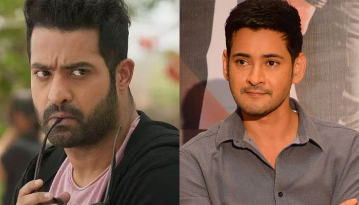 Mahesh's Special Eye on Aravinda Sametha