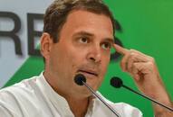 If allies want, I will surely want to be the Prime Minister: Rahul Gandhi