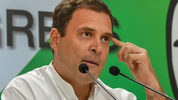 If allies want, I will surely want to be the Prime Minister: Rahul Gandhi