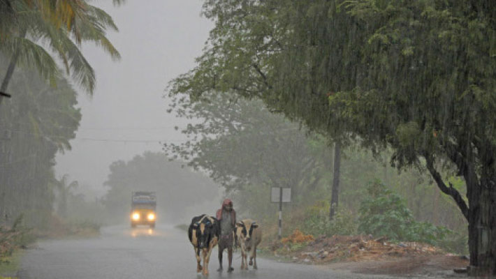 Heavy rain today in 13 districts... meteorological department