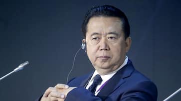 Interpol chief Meng Hongwei missing France Lyon Fan Bingbing