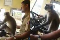 Karnataka driver langur 'drive' bus