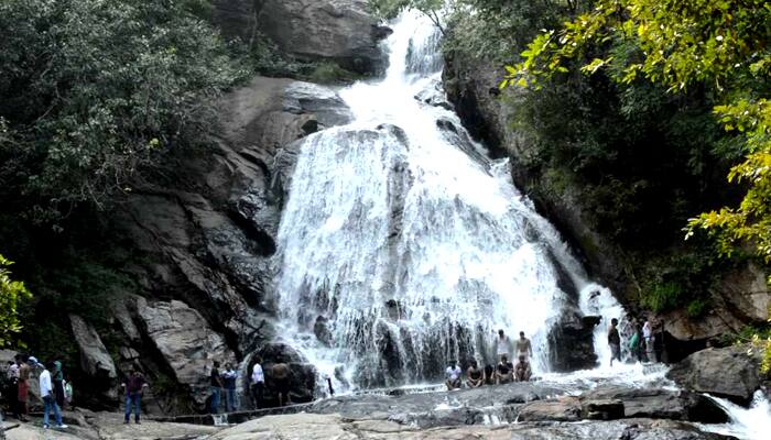 Entry banned in monkey falls Aliyar