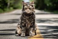 Stephen King's Pet Sematary 2019 movie trailer is going viral