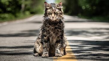 Stephen King's Pet Sematary 2019 movie trailer is going viral