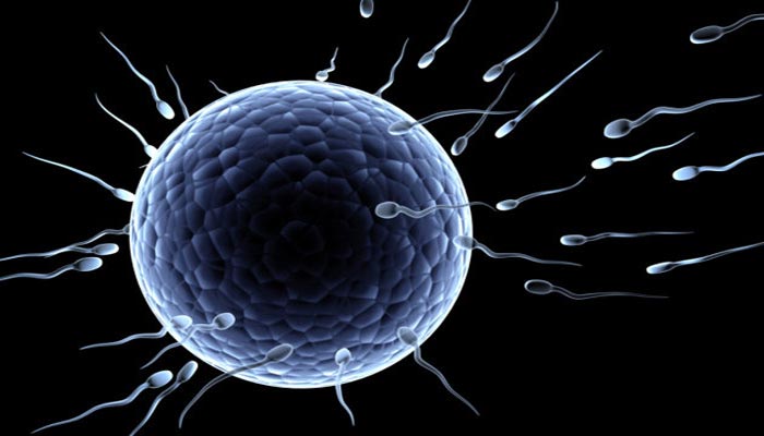 reasons behind the declination in sperm count