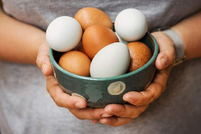 World Egg Day facts Video awareness nutrition protein