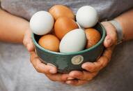 World Egg Day facts Video awareness nutrition protein