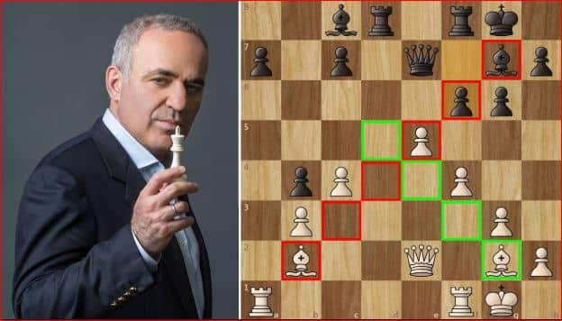 he grandmaster Garry Kasparov looking for more power in political life