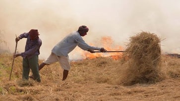 Like last year, this year too, Delhi will suffer from the burning of storm