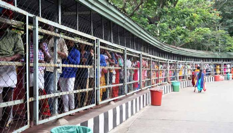 Food milk for devotees in Srivari Darshan queue lines in TTD