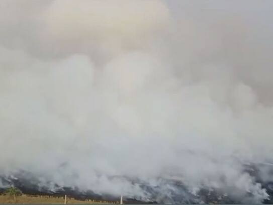 smog parali burning fatehabad haryana punjab ngt pollution