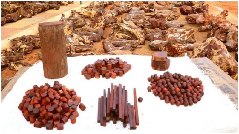 red wood amazhing uses