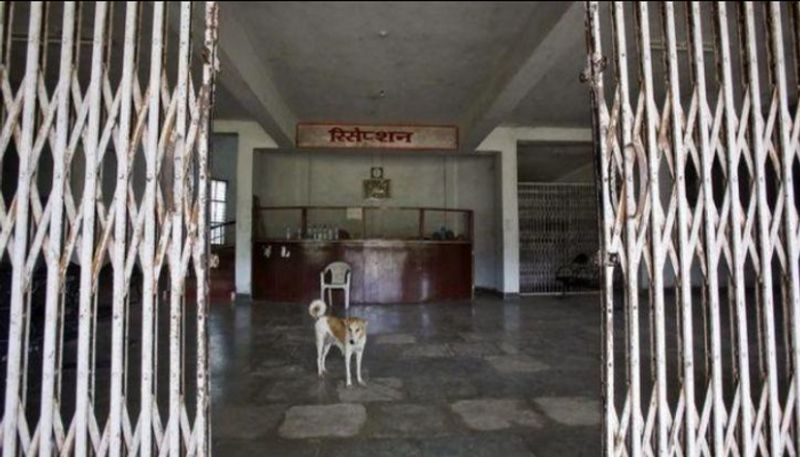 Stray Dog Sneaks Into Operation Theatre In Bihar, Steals Patient's Amputated Leg