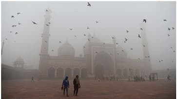 Delhi pollution CPCB Air Quality Index PETA animals choking pneumonia