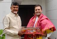 Chandrababu Naidu's 'opportunism' draws him close to Rahul Gandhi