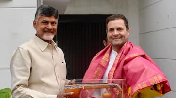 Chandrababu Naidu's 'opportunism' draws him close to Rahul Gandhi