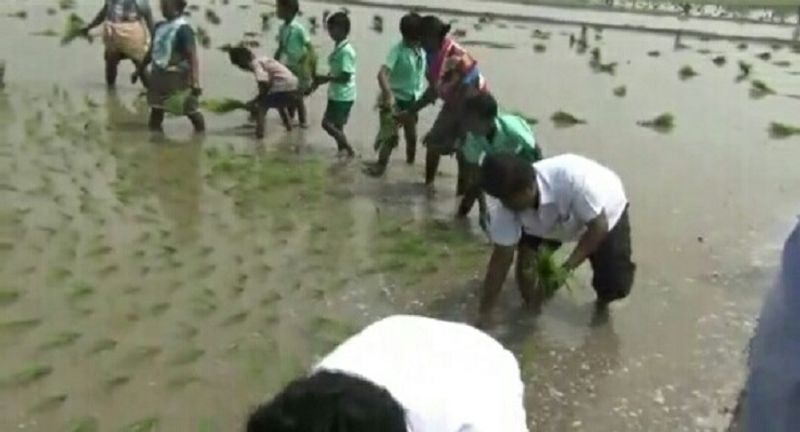 teacher taught students about agriculture