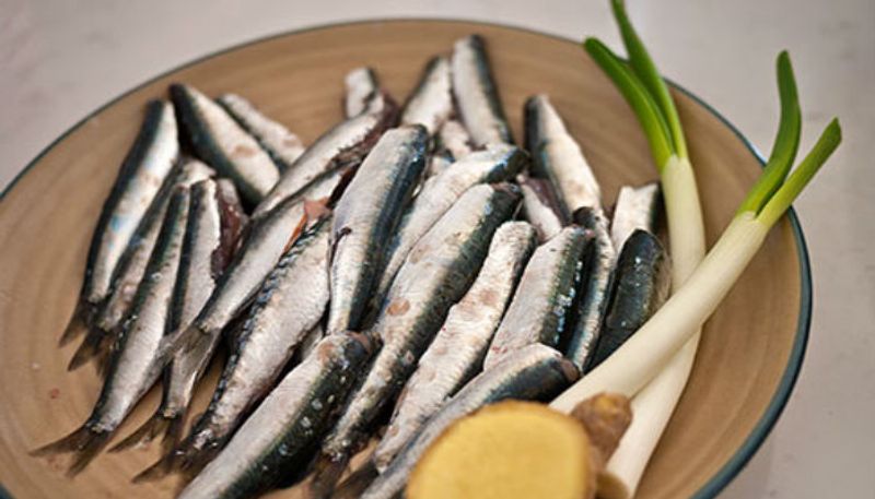 Are there so many benefits of eating nutrient sardines?