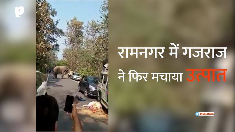 Video: An Elephant creates ruckus again in Ramnagar between Ringola and Corbett Tiger Reserve