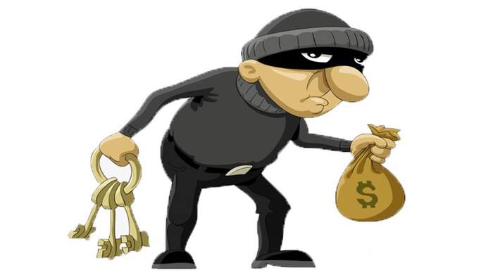 Thief New