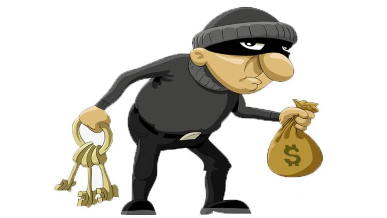Thief New