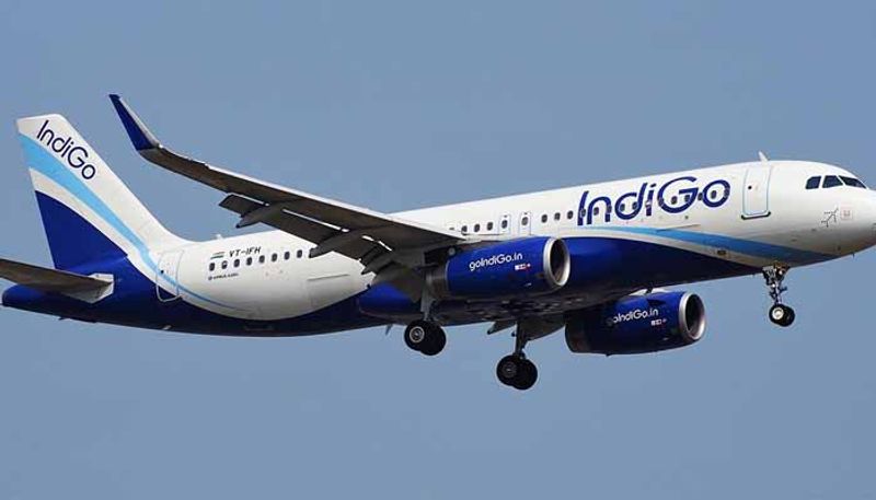 passenger opens indigo plane's emergency door in kochi