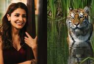 Anushka Sharma tigers  Discovery World Wildlife Fund WWF Project C.A.T