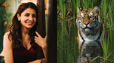 Anushka Sharma tigers  Discovery World Wildlife Fund WWF Project C.A.T