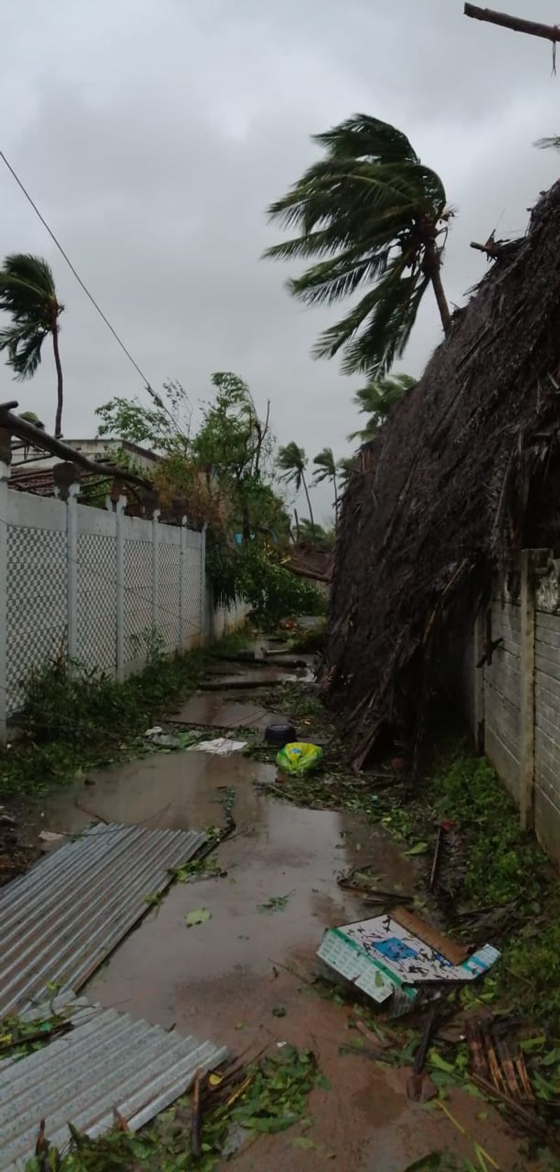 After Gaja, Titli and Sandy: How cyclones get their names