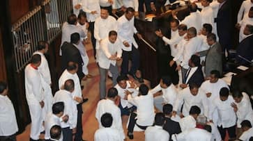 Sri Lanka political crisis ministers fight Parliament Mahinda Rajapaksa